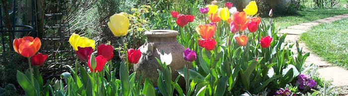 Tulip time in Bowral is the best for a weekend getaway