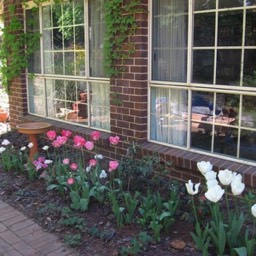 Tulip Room at Highland Garden Hideaway